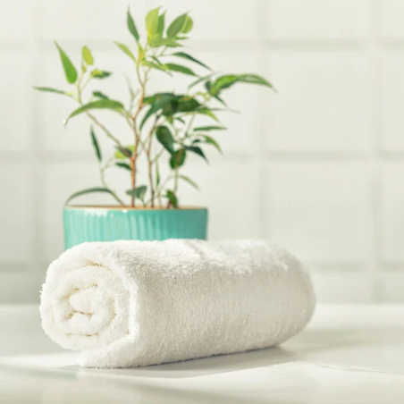 Serviette de toilette 45x90 cm en coton, qualité hôtelière, issue de linge revalorisé d’hôtels, douce, absorbante et résistante, idéale pour usage Airbnb et professionnel.